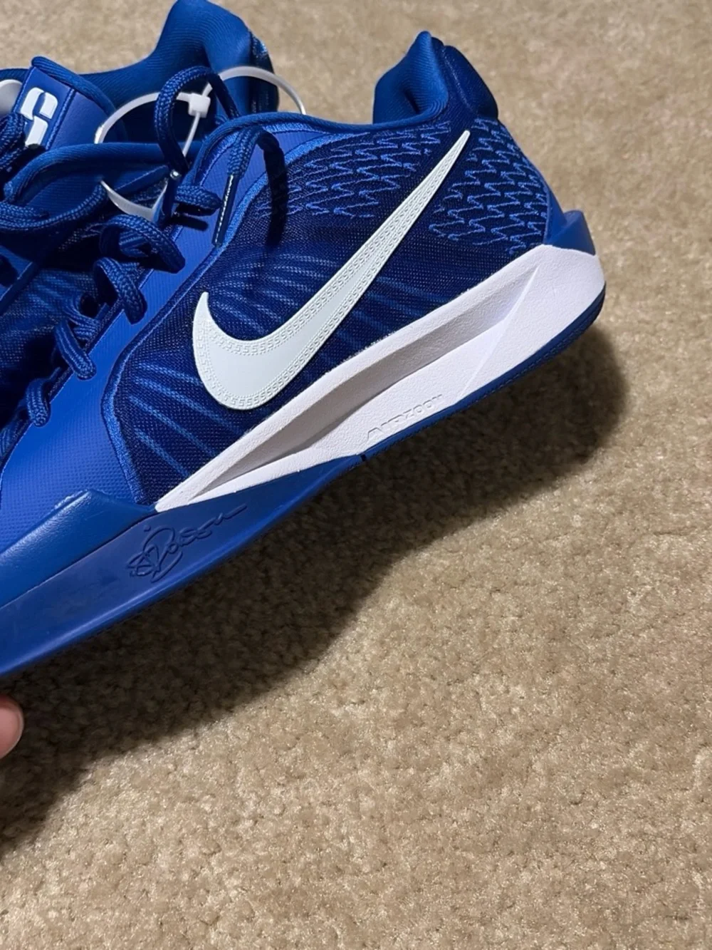 Nike Men's Royal Blue Athletic Sneakers